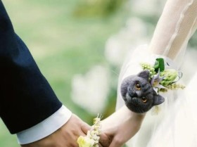 五一迎“双春年”结婚热潮 婚礼策划师： 5天赶6场 但年轻人的婚礼预算降低了 婚