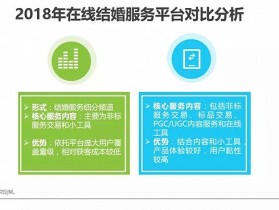 中国垂直结婚服务市场移动互联网案例研究报告