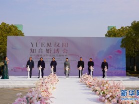 汉阳：以月湖婚庆产业园为引爆点 打造婚姻文化聚集地