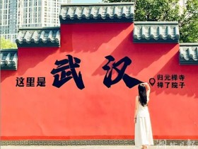 超144万人次！汉阳成为来汉游客绕不开的打卡地