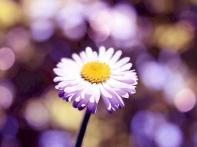 武汉武昌区婚纱摄影前十名 武汉的婚纱摄影前十名