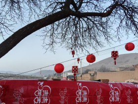 千里奔赴只为这场“返乡婚礼”