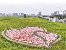 精细化管理 为汉阳“一键美颜”